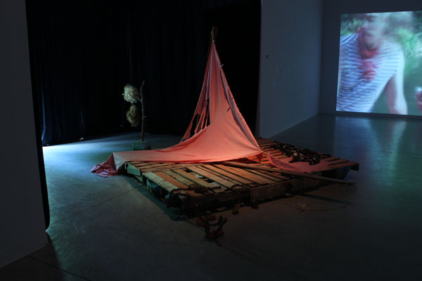 Artlab MFA Thesis Exhibition: Anthea Black (2012) - Installation